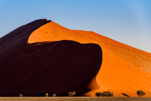 Namibia Photo Safari 2027