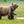 Alaska Photo Safari 2025
