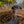Maine Fall Colors Photo Tour 2025