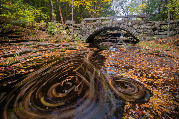 Maine Fall Colors Photo Tour 2025