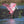 Water Dance, Roseate Spoonbill