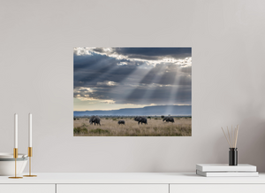 Following Tradition, Elephant