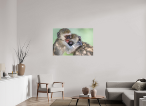 Primal Emotion, Vervet Monkey