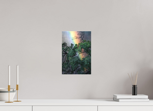 Weathered & Unbeaten, Zimbabwe