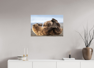 The Nursery Hour, Alaska