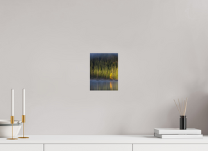 Spotlight, Montenegro