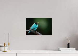 Centerpiece, Green Honeycreeper