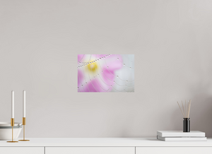 Spider's Treasure, Maine