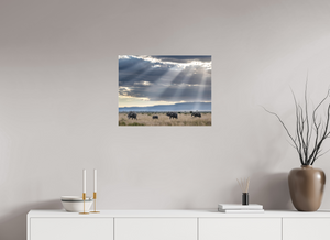 Following Tradition, Elephant