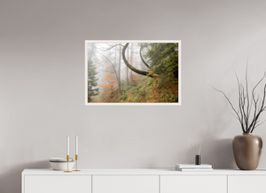 Imaginarium Opus, Slovenia