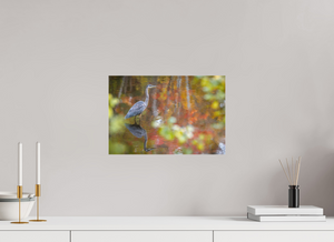 Impressions of Monet, Maine