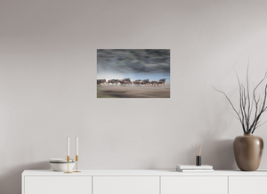 Safety in Numbers, Wildebeest