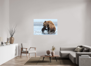 Protection, Alaskan Coastal Brown Bear Cub