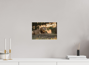 Lord of the Dawn, Lion