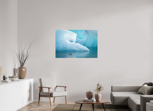 Frozen Eider, Iceland