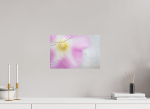 Spider's Treasure, Maine