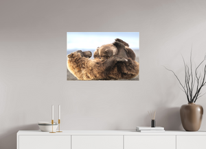 The Nursery Hour, Alaska