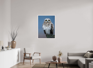 Intensity, Short-eared Owl