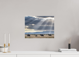 Following Tradition, Elephant