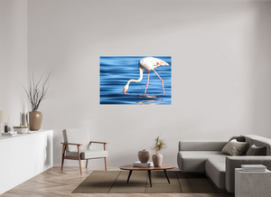 Point of Impact, Greater Flamingo