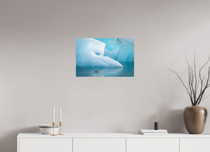 Frozen Eider, Iceland