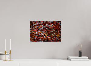 Liquid Inferno, Maine