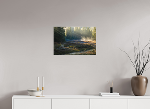 Ethereal Forest, Montenegro