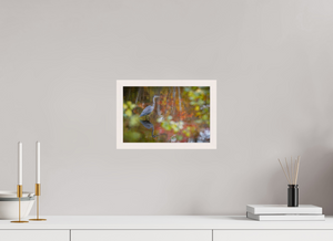 Impressions of Monet, Maine