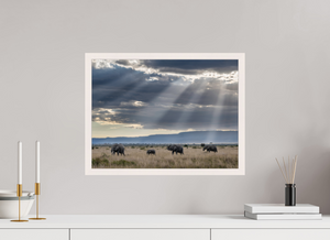 Following Tradition, Elephant