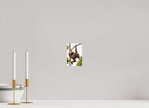 Panic Mode, Orangutan