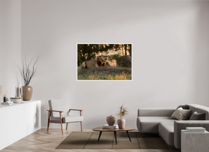 Lord of the Dawn, Lion