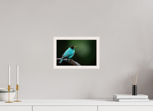 Centerpiece, Green Honeycreeper