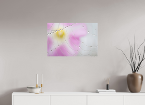 Spider's Treasure, Maine