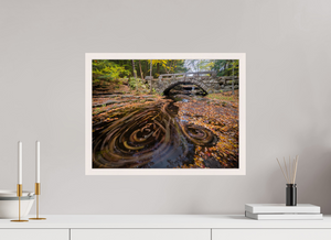 The Circumference of Autumn, Maine