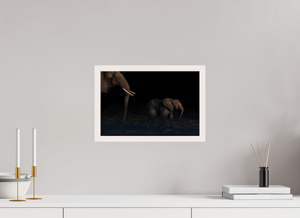 Shadow Guard, Botswana