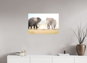 War and Peace, Elephant