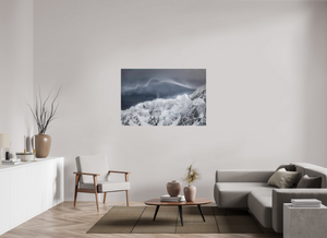 Shape of the Wind, New Zealand