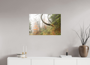 Imaginarium Opus, Slovenia