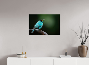 Centerpiece, Green Honeycreeper