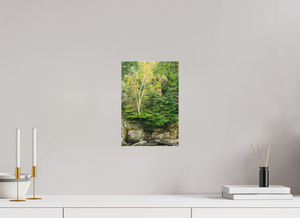 Autumn Confetti, Maine