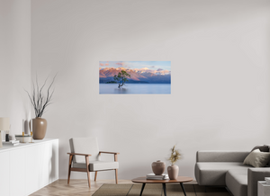 Endurance, New Zealand