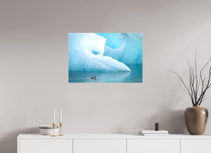 Frozen Eider, Iceland