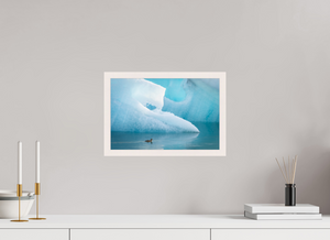 Frozen Eider, Iceland