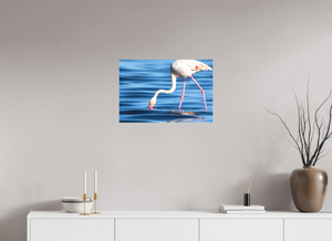 Point of Impact, Greater Flamingo