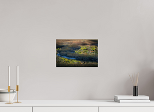 Mirror on the Marsh, Maine