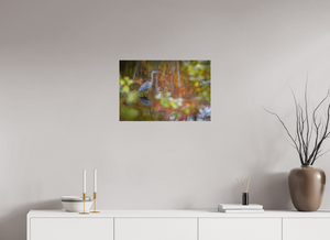 Impressions of Monet, Maine