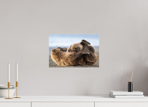 The Nursery Hour, Alaska