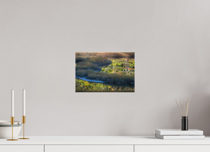 Mirror on the Marsh, Maine