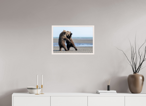 Sibling Rivalry, Alaskan Coastal Brown Bear Cubs