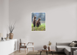 Double Trouble, Alaskan Coastal Brown Bear Cubs